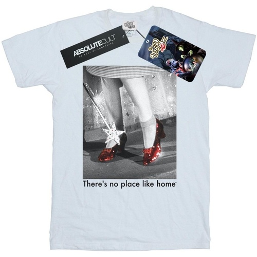 Vêtements Femme T-shirts manches longues The Wizard Of Oz Ruby Slippers Photo Blanc