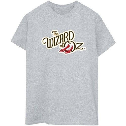 Vêtements Femme T-shirts manches longues The Wizard Of Oz Shoes Logo Gris