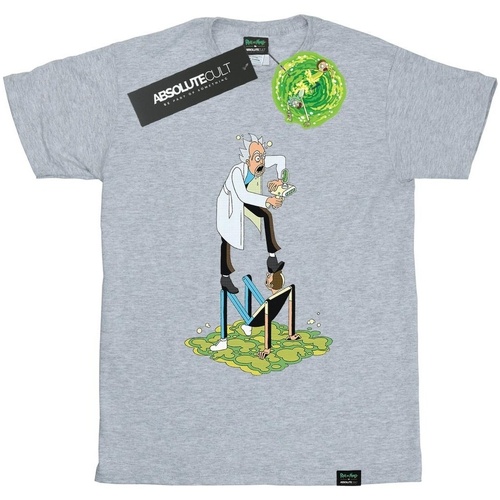 Vêtements Homme T-shirts manches longues Rick And Morty Stylised Characters Gris