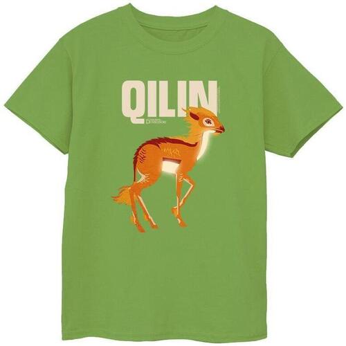 Vêtements Garçon T-shirts manches courtes Shorts & Bermudas Qilin Character Multicolore