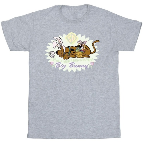 Vêtements Homme T-shirts manches longues Scooby Doo Big Bunny Gris