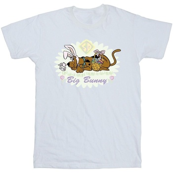 Vêtements Homme T-shirts manches longues Scooby Doo Big Bunny Blanc