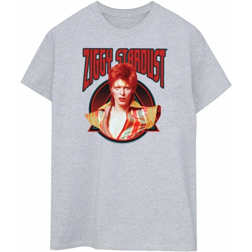 Vêtements Femme T-shirts manches longues David Bowie Ziggy Stardust Gris