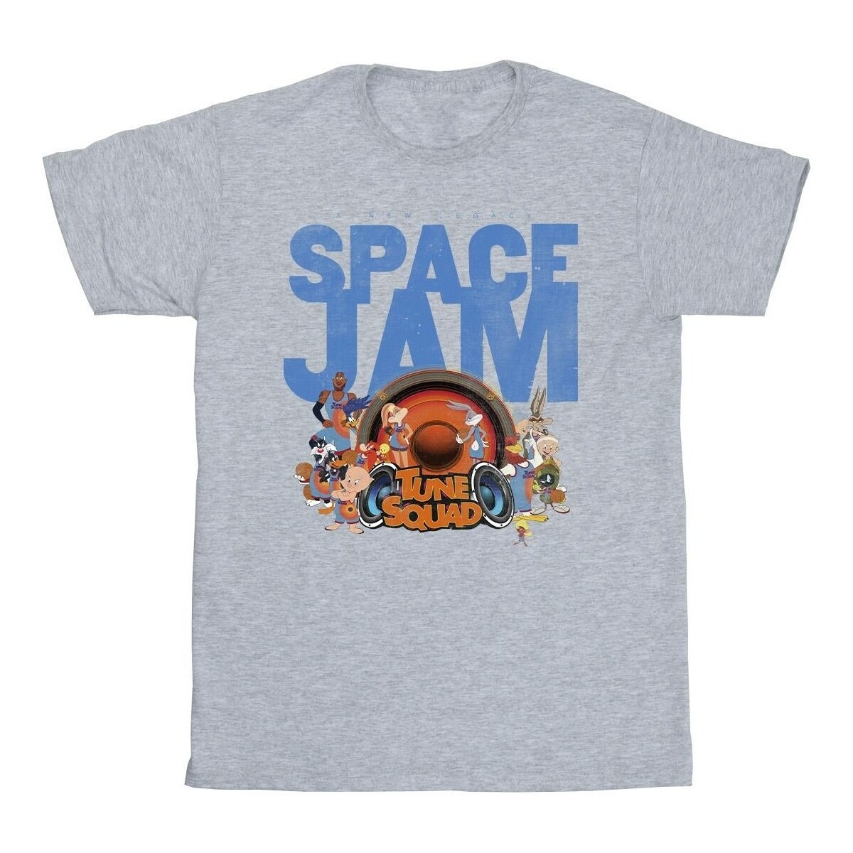 Vêtements Homme T-shirts manches longues Space Jam: A New Legacy Tune Squad Gris