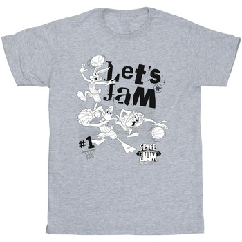 Vêtements Homme T-shirts manches longues Space Jam: A New Legacy Let's Jam Gris