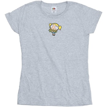 Vêtements Femme T-shirts manches longues The Powerpuff Girls BI51888 Gris