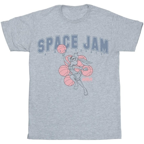Vêtements Homme T-shirts manches longues Space Jam: A New Legacy Lola Collegiate Gris