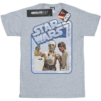 Vêtements Homme T-shirts manches longues Disney Luke Skywalker And C-3PO Gris