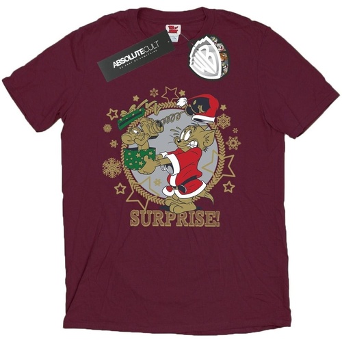 Vêtements Homme T-shirts manches longues Dessins Animés Christmas Surprise Multicolore