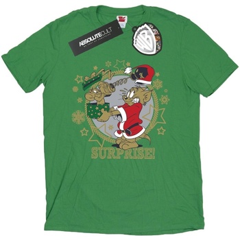 Vêtements Homme T-shirts manches longues Dessins Animés Christmas Surprise Vert