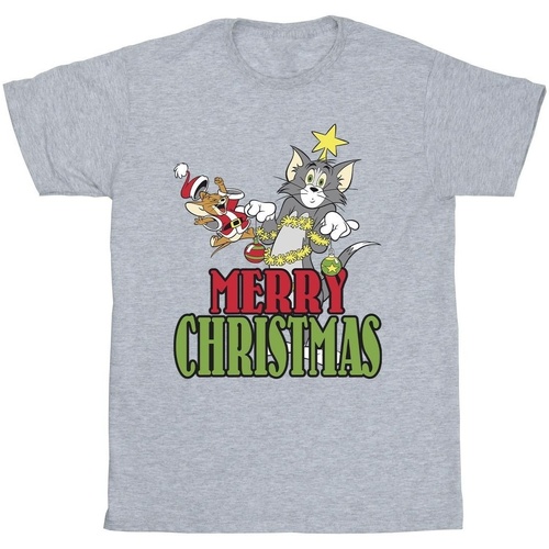 Vêtements Homme T-shirts manches longues Dessins Animés Merry Christmas Baubles Gris