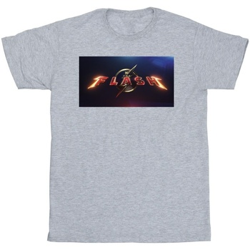 Vêtements Homme T-shirts manches longues Dc Comics The Flash Movie Logo Gris