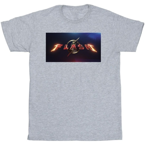 Vêtements Homme T-shirts manches longues Dc Comics The Flash Movie Logo Gris