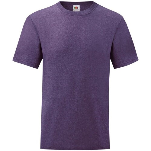 Vêtements Homme T-shirts manches longues Fruit Of The Loom Valueweight Violet