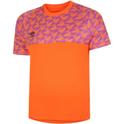 Vêtements Homme T-shirts manches longues Umbro Flux Orange
