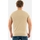 Vêtements Homme T-shirts manches courtes Superdry m1011170a Beige
