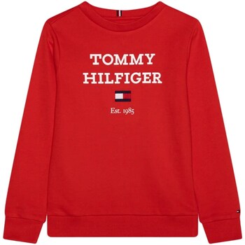 Vêtements Garçon Sweats Tommy Hilfiger KB0KB08713 Rouge