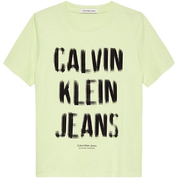 Vêtements Garçon T-shirts manches longues Calvin Klein sportlichen JEANS IB0IB01974 Vert
