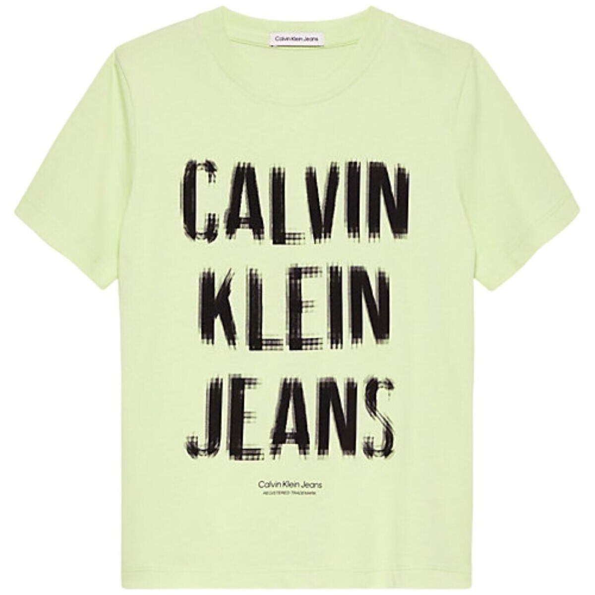 Vêtements Garçon T-shirts manches longues Calvin Klein Jeans IB0IB01974 Vert