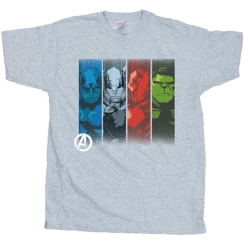 Vêtements Garçon T-shirts manches courtes Marvel Avengers Team Strips Gris