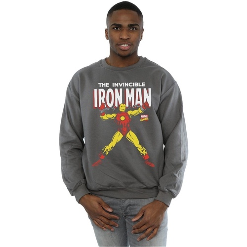 Vêtements Homme Sweats Marvel Iron Man Chains Multicolore