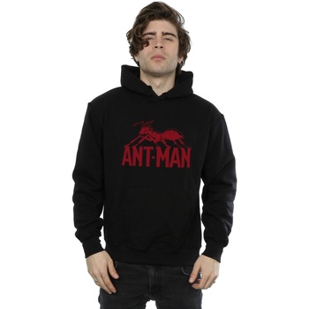 Vêtements Homme Sweats Marvel Ant-Man Logo Noir