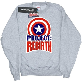 Vêtements Homme Sweats Marvel Captain America Project Rebirth Gris