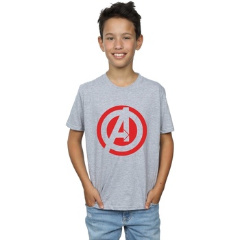 Vêtements Garçon T-shirts manches courtes Marvel Avenegers Assemble Solid A Logo Gris