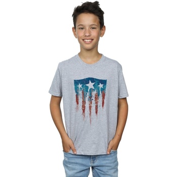 Vêtements Garçon T-shirts manches courtes Marvel Captain America Flag Shield Gris