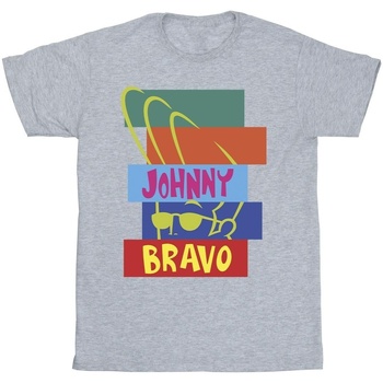 Vêtements Homme T-shirts manches longues Johnny Bravo Rectangle Pop Art Gris