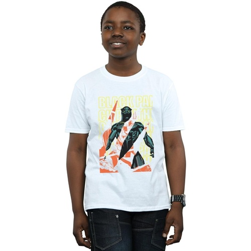 Vêtements Garçon T-shirts manches courtes Marvel Avengers Black Panther Collage Blanc