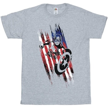 Vêtements Garçon T-shirts manches courtes Marvel Avengers Captain America Streaks Gris