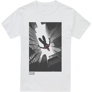 Vêtements Homme T-shirts manches longues Spider-Man: Miles Morales TV2694 Blanc