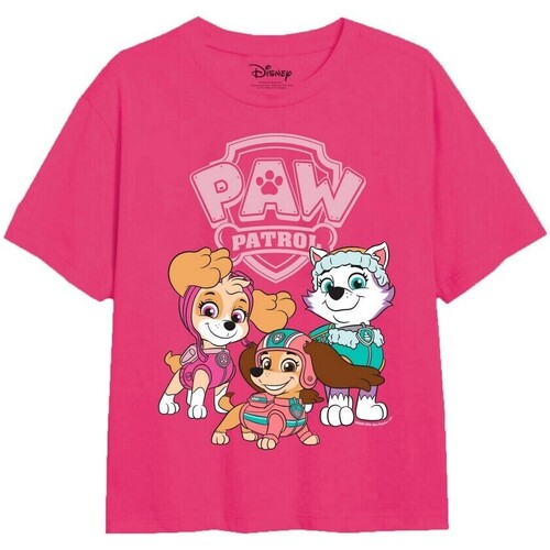 Vêtements Fille T-shirts manches longues Paw Patrol  Multicolore