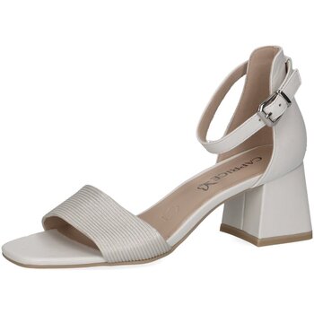 Chaussures Femme Tableaux / toiles Caprice  Blanc