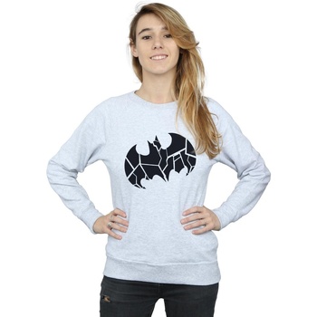 Vêtements Femme Sweats Dc Comics Batman One Colour Shield Gris