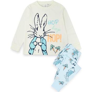 Vêtements Garçon Pyjamas / Chemises de nuit Peter Rabbit Hop Bleu