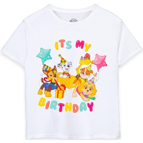 Vêtements Enfant T-shirts manches courtes Paw Patrol It's My Birthday Blanc