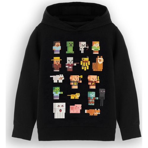 Vêtements Enfant Sweats Minecraft  Noir