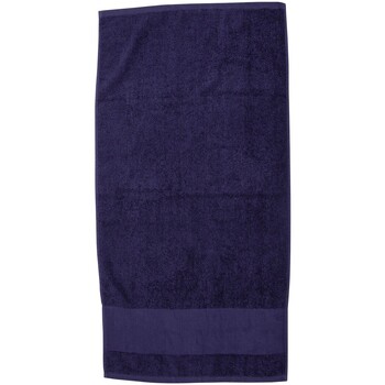 Pulls & Gilets Serviettes et gants de toilette Towel City RW9374 Bleu