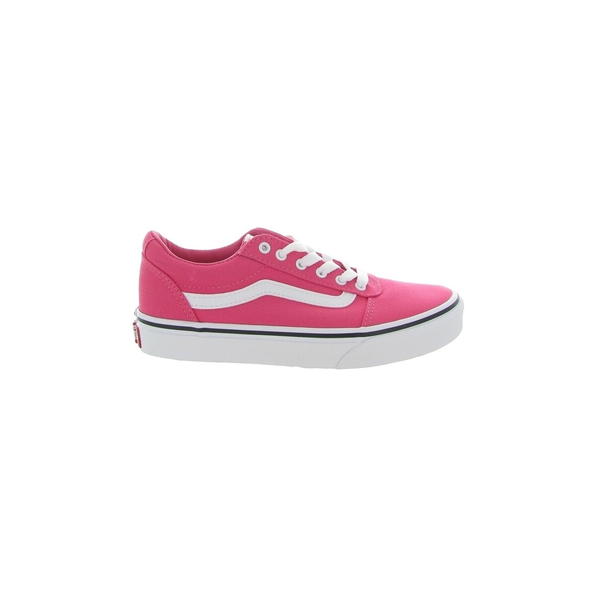 Chaussures Fille Baskets mode Vans WARD COLOR THEORY JR Rose