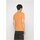 Vêtements Homme T-shirts manches courtes Calvin Klein Jeans J30J320806 Orange