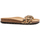 Chaussures Femme Sandales et Nu-pieds Billowy 8101C41 Marron