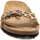 Chaussures Femme Sandales et Nu-pieds Billowy 8101C41 Marron