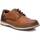 Chaussures Homme Derbies & Richelieu Xti 14250402 Marron