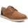 Chaussures Homme Derbies & Richelieu Refresh 17166704 Marron