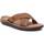 Chaussures Homme Sandales et Nu-pieds Refresh 17167203 Marron