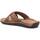 Chaussures Homme Sandales et Nu-pieds Refresh 17167203 Marron