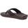 Chaussures Homme Sandales et Nu-pieds Refresh 17167303 Marron