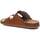 Chaussures Homme Sandales et Nu-pieds Refresh 17196303 Marron